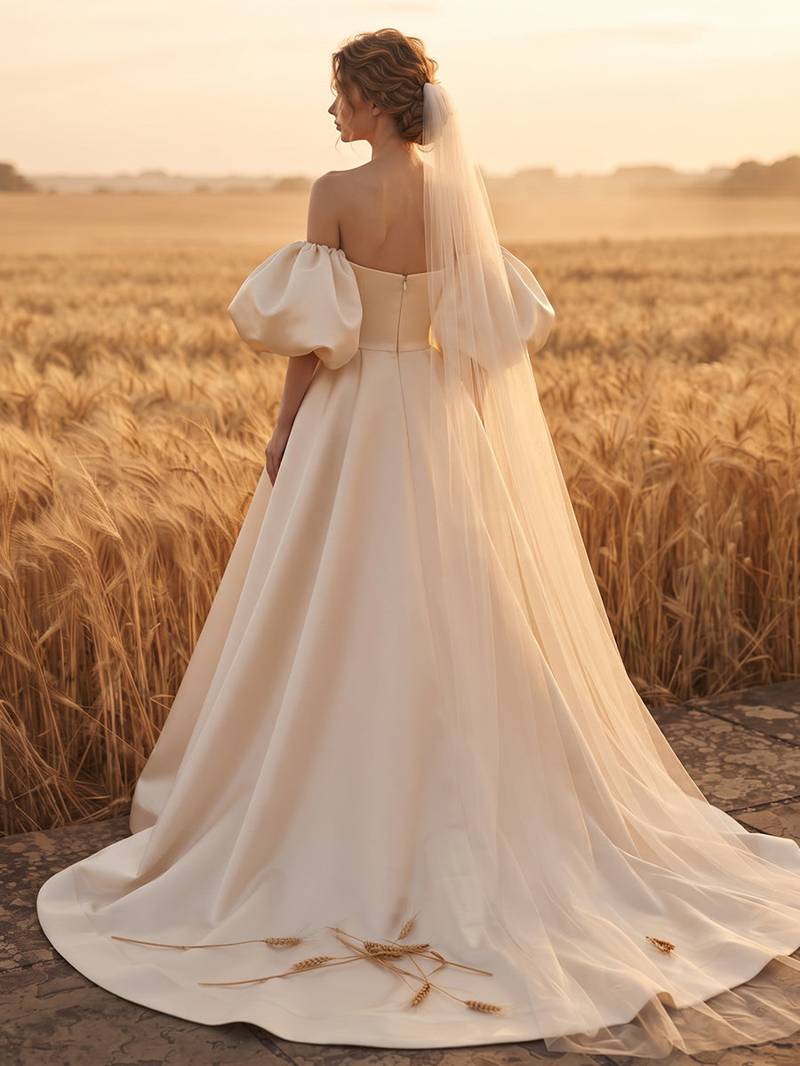 Satin Ball Gown Strapless Bridal Gowns Floor Length Floral Embroidery Wedding Dresses